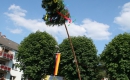 20100626-Siedlerfest-021