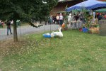 20120915-100j_ObstgutMueller-012