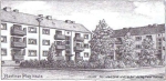 Bilder von Torney Querbeet