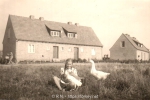 Mennonitenstr-S.I-M-1